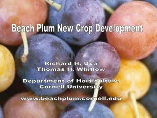 Richard H. Uva Thomas H. Whitlow Department of Horticulture Cornell University www.beachplum.cornell.edu