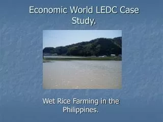 Economic World LEDC Case Study.