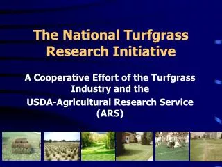 The National Turfgrass Research Initiative