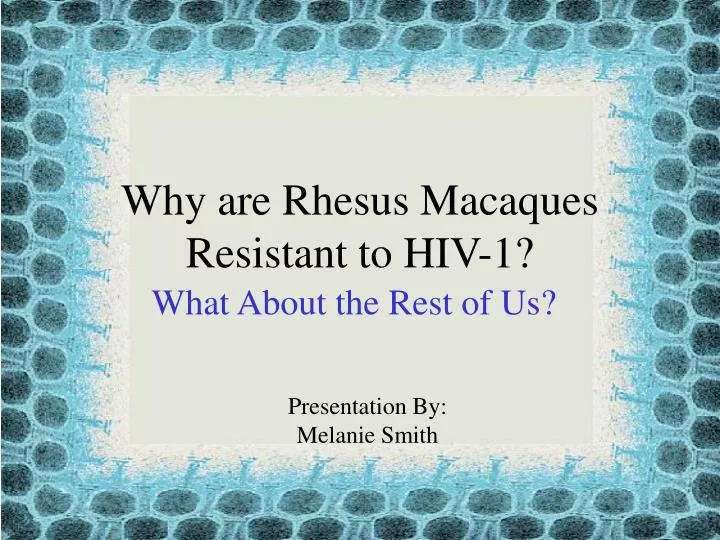 why are rhesus macaques resistant to hiv 1