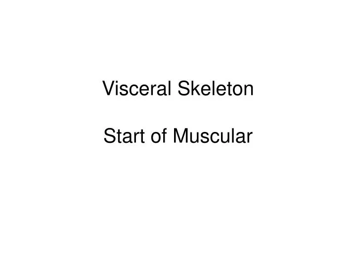 visceral skeleton start of muscular