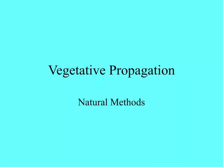 vegetative propagation