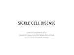 SICKLE CELL DISEASE - slide 1