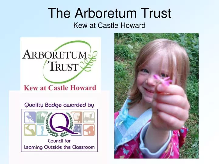 the arboretum trust kew at castle howard