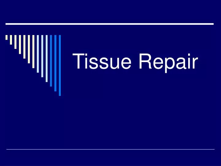 tissue repair