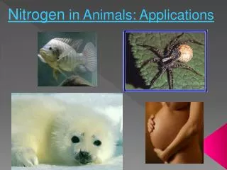 Nitrogen in Animals: Applications