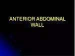 ANTERIOR ABDOMINAL WALL - slide 1