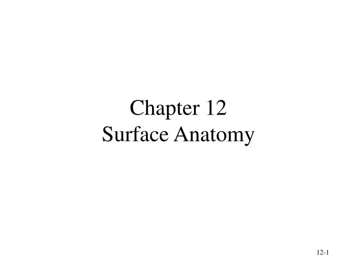 chapter 12 surface anatomy