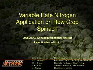 Variable Rate Nitrogen Application on Row Crop Spinach