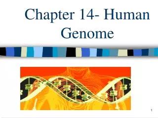 Chapter 14- Human Genome