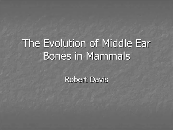 the evolution of middle ear bones in mammals