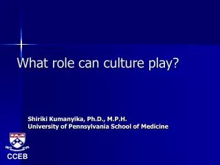 What role can culture play?