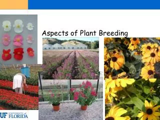 Aspects of Plant Breeding