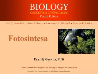 fotosintesa
