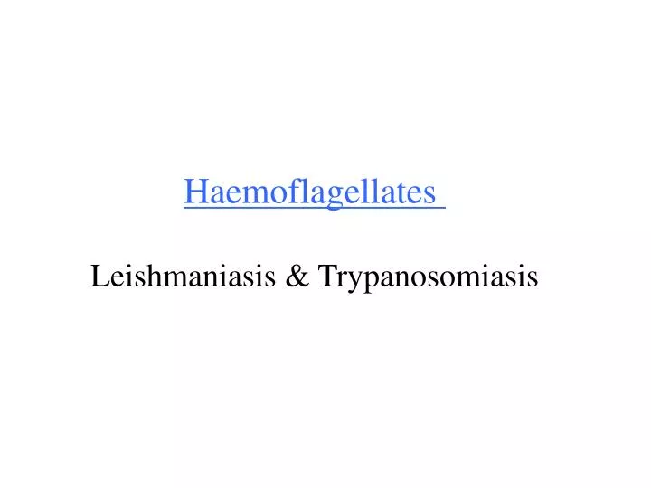 haemoflagellates leishmaniasis trypanosomiasis