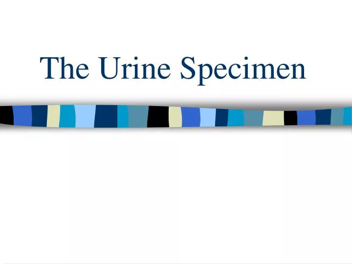the urine specimen