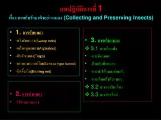 1 collecting and preserving insects