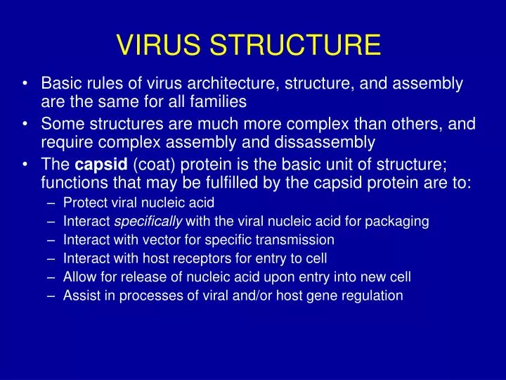 virus structure