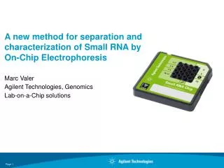 A new method for separation and characterization of Small RNA by On-Chip Electrophoresis
