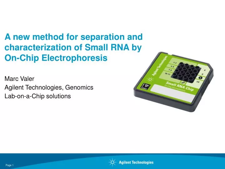 a new method for separation and characterization of small rna by on chip electrophoresis