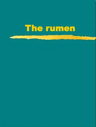 The rumen