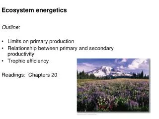 Ecosystem energetics