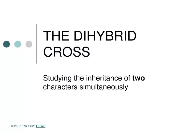 the dihybrid cross