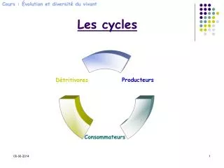 les cycles