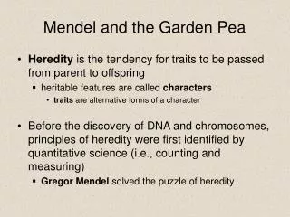 Mendel and the Garden Pea