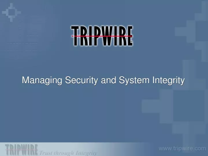 managing security and system integrity
