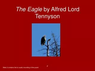 The Eagle by Alfred Lord Tennyson