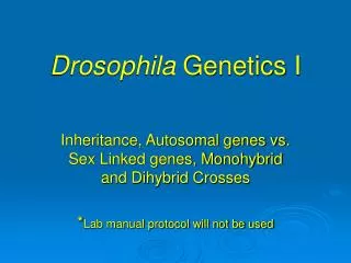 Drosophila Genetics I