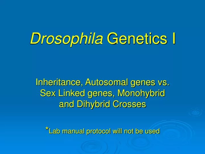 drosophila genetics i