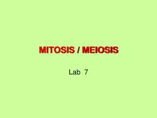 MITOSIS / MEIOSIS