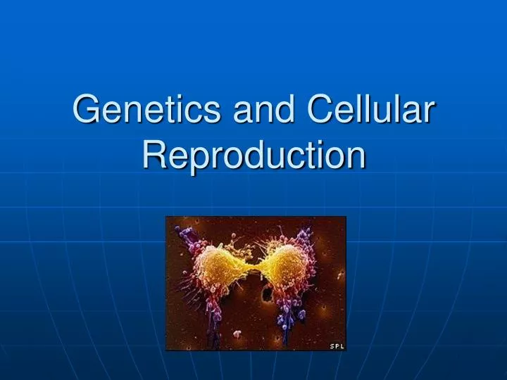 genetics and cellular reproduction