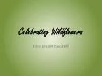 Celebrating Wildflowers - slide 1