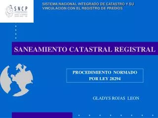 saneamiento catastral registral
