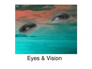 Eyes &amp; Vision