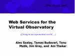 Web Services for the Virtual Observatory - slide 1
