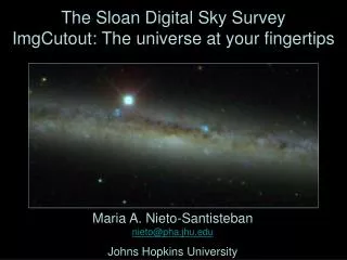 The Sloan Digital Sky Survey ImgCutout: The universe at your fingertips