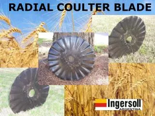 RADIAL COULTER BLADE