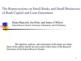 The Repercussions on Small Banks and Small Businesses of Bank Capital and Loan Guarantees