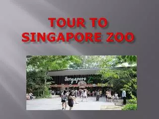 Have a Great Time on Educational Family Tour in Singapore Zo