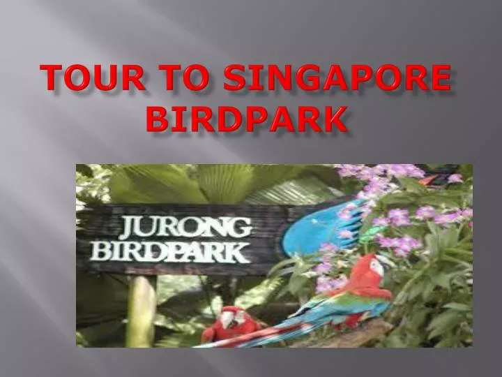 tour to singapore birdpark
