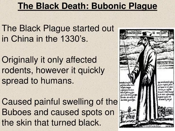 the black death bubonic plague