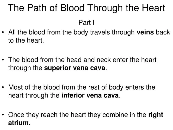 the path of blood through the heart