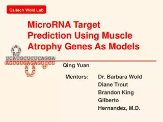 MicroRNA Target Prediction Using Muscle Atrophy Genes As Models