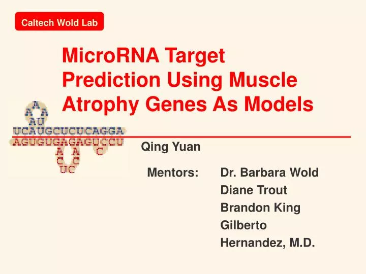microrna target prediction using muscle atrophy genes as models
