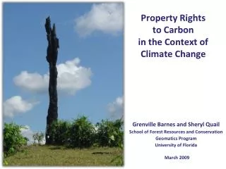Property Rights to Carbon in the Context of Climate Change