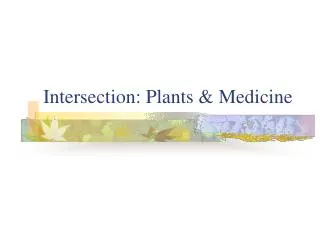 Intersection: Plants &amp; Medicine